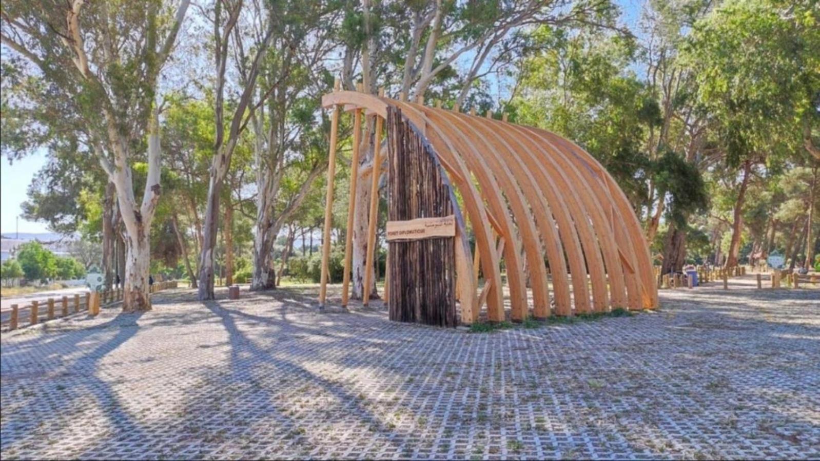 Charming, Peaceful House, Between Forest And Sea Tanger Buitenkant foto